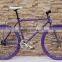 2015 new design 700C fixed gear bike