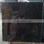 Top Quality Popular Polished Star Black Galaxy Granite On Sales