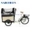 cargo electric bike for children
