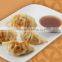 Customized Potsticker making encrusing machine with CE certificate