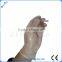 Medical Disposable Vinyl PVC Gloves, Powder Free And Powdered, Vinyl PVC examination gloves