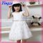 Wholesale fancy elegent lace princess tutu dresses kids dresses for baby girls