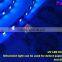 color changeable 60leds/m 72leds/m waterproof IP65 IP68 SMD 5050 flexible RGB led strip with white