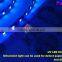 Ultra Bright SMD 5050 RGB+W 2700K 4500K 6000K Led Strip 60Leds