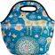 Customized Insulated Lunch Bags, Lunch Tote Bag;Water Bottle Tote Lunch Bag