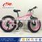 Boys 20 inch wheels folding fat bike / aluminum alloy snow bicycle for Philippines market / wholesale MTB fat bike dirt bike