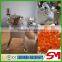 High quality anticorrosive and hygienic vegetable cutting machine