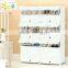 Plastic folding shoe storage box