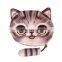 Wholesale Coin Purses 3D Printing Cute Cat Wallets Small Zipper Change Cion Purses for Girl