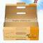 Strong Fruit Carton Box for Apple ,Fruit Packaging Box