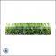 Aritificial Grass Lawn