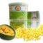 Vacuum Freeze Dried Jackfruit tin can HALAL , HACCP , ISO 22000 , KOSHER and GMP Certified