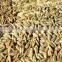 black cumin seed oil