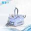 Popular Design Proffessional Effectiveness IPL Laser Rust Removal With CE Approved