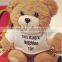 2016 Baby musical bear plush toy for children gift