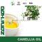 Camellia seed oil for skin care and health