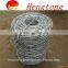  express Double twist Barbed wire/barbed wire fence/razor barbed wire