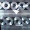 galvanized square wire mesh/square wire mesh