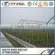 greenhouses agriculture projects structural tubes 2015 china factory wholesale good quality precision steel pipe for greenhouse