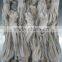 Frozen BQF New produced Tweed Bait squid Heads