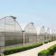 China supplier low cost agriculture polytunnel mushroom greenhouse