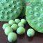 Lotus Seed Lotus Nut Lotus Kernel Fruit Lotus Seed Lotus Seed Pods, Fresh and Tender Lotus Seed