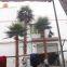 new natural design high artificial palm tree with true palm tree bark
