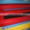 Gymnastics 5cm Tatami Grappling Judo MMA Mat
