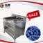 Automatic ozone air bubble fruit apple grape berry washing machine