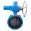 Soft Sealing Flange Butterfly Valve