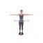Pilates equipment/wooden balance board/core balance trainer DISC