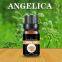 Angelica Root Oil Chinese Herbal Extract Pure Natural oil