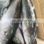 Frozen  yellowtail whole round origin Japan