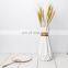 Wholesale White Larger Table Ceramic Paper Vase Sample Home Flower Decoration