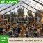 Aluminum Frame PVC TFS Curved Frame Marquee Wedding Party Event Tent For Wedding Party Outdoor Sports