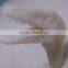 SLS Selective Laser Sintering Plastic Nylon Parts China Machine Factory