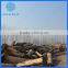 Customized Timber mill wood logs