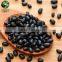 New Crop Easy Cooking Black Kidney Beans (Black Turtle Beans)