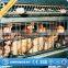 prefab chicken farm/chicken farm building/chicken farm supplies