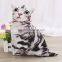 Promotional 3D cool printing cat shaped handbag                        
                                                Quality Choice