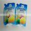 Self Standing Liquid Container packaging Pouch Spout Bags