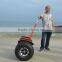 2 wheel self balancing electric chariot i2