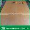 America Market Birch Plywood with hardwood core or poplar core