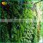 Wholesale large artificial green wall system for home garden