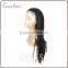 Fashionable african braided wig for black women micro braided lace front wig