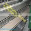 Automatic egg chicken layer feeding chicken layer cage