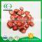 New Season All Kinds Iqf Frozen Dried Strawberry