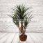 Artificial Silk Dracaena Tree, Plastic Plants