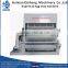 Best Selling Egg Tray Machine in Algeria