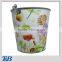 Fantasy printing Gardening bucket (12L)